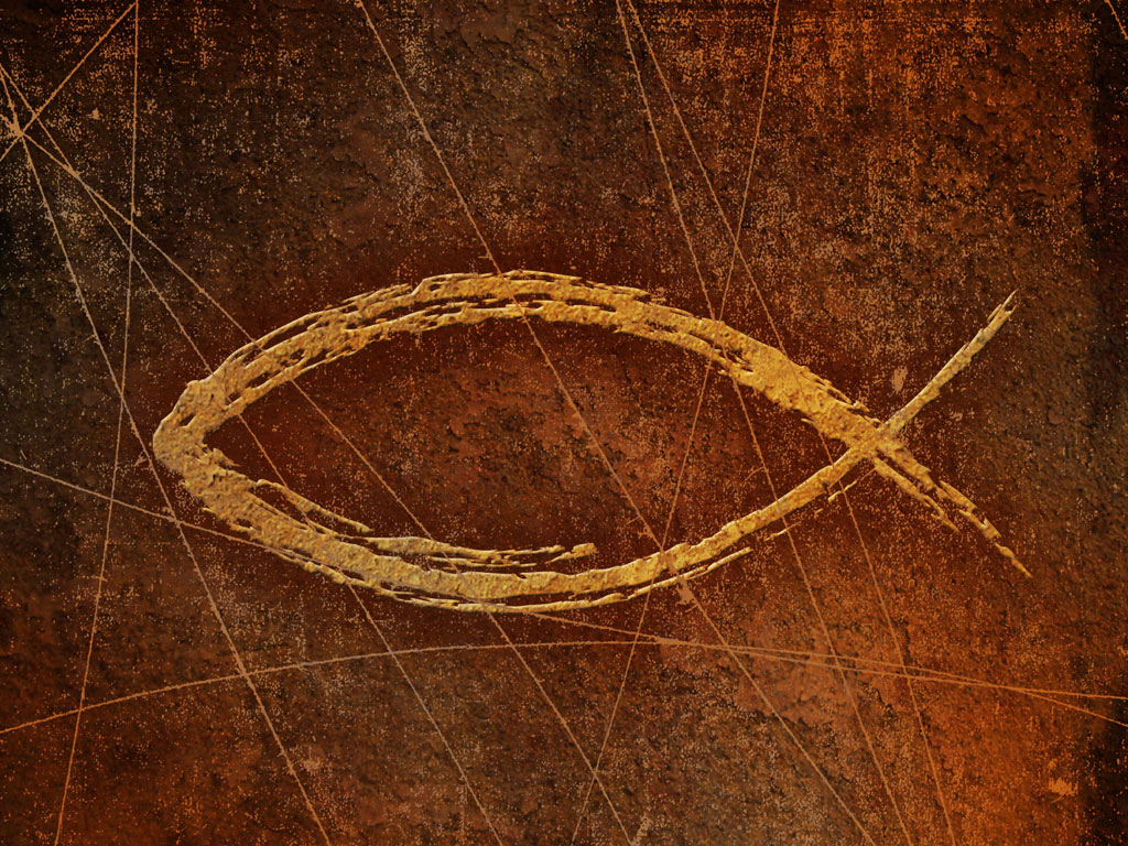 Flying Fish | Spiritual Musclehead