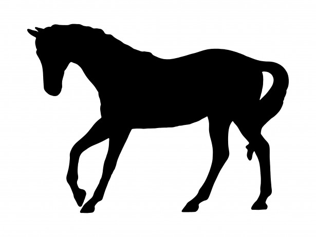 Trotting Horse Silhouette Free Stock Photo - Public Domain Pictures