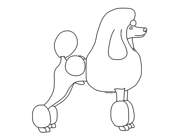 A Simple Drawing of Poodle in Lineart Coloring Page - Free ...