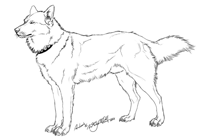 Free Husky Outline- by WhiteSpiritWolf on DeviantArt