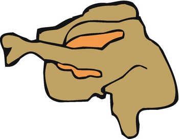 Zorphbert & Fred by Dawn Griffin - Clipart FAIL: Turkey