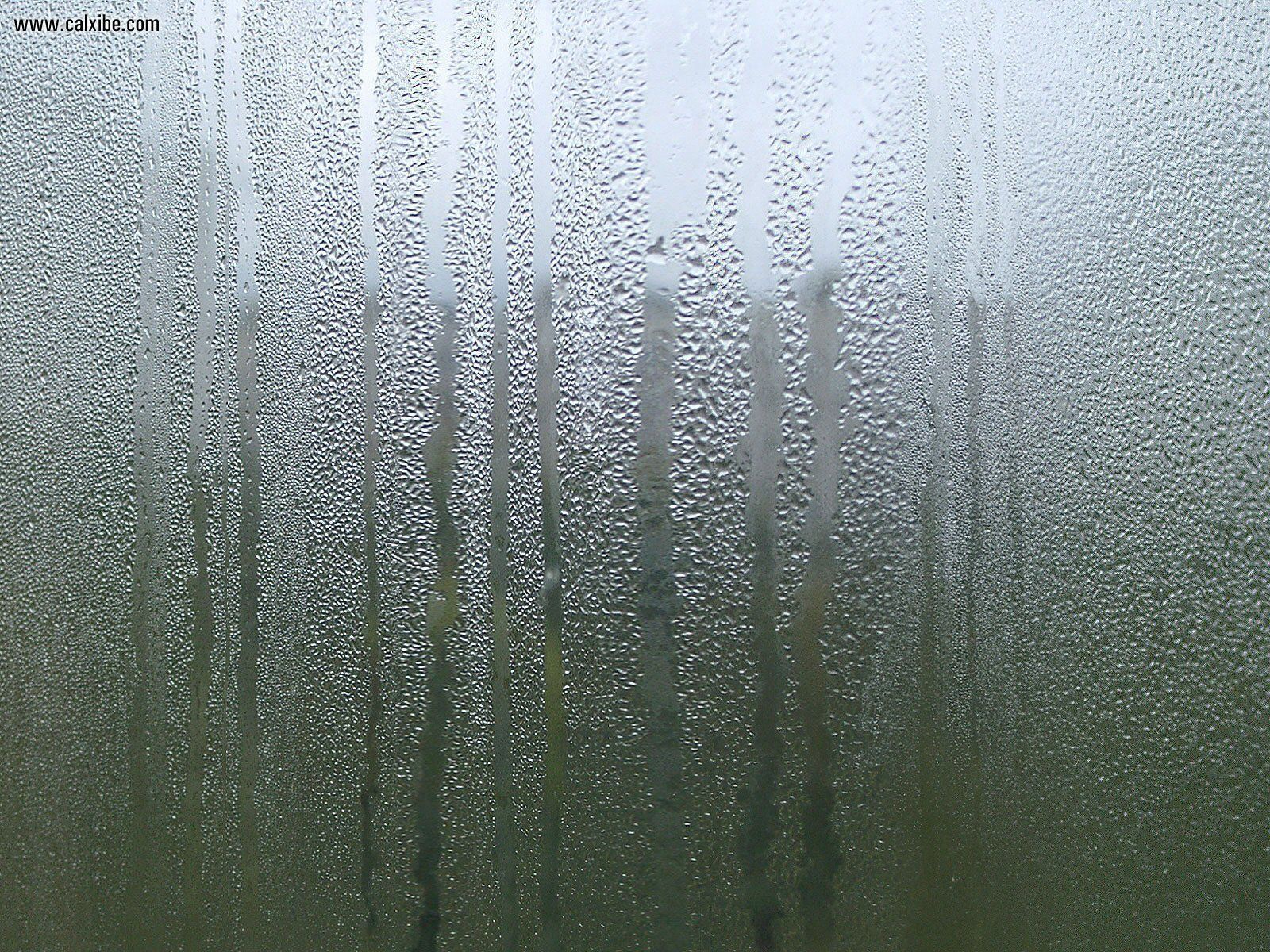Development: Rainy Window, picture nr. 9036