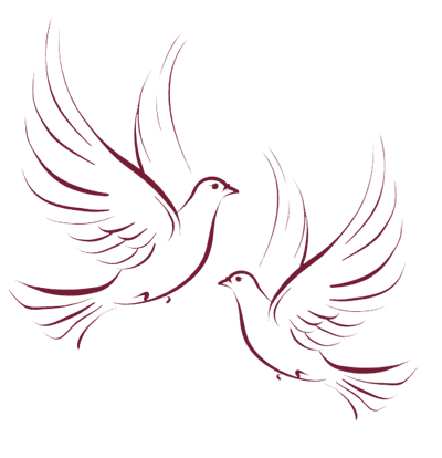 Doves 94234 | MOVDATA