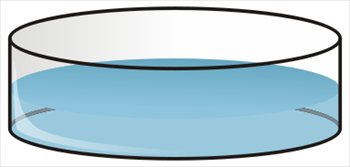 Free petri-dish Clipart - Free Clipart Graphics, Images and Photos ...