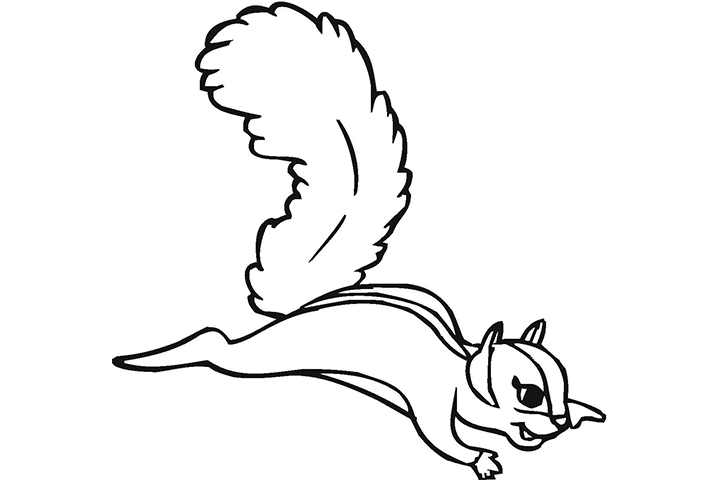 Top 10 Free Printable Squirrel Coloring Pages Online