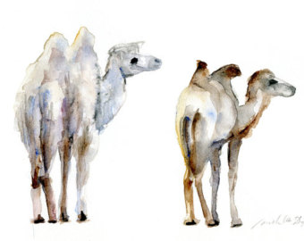 Popular items for camel illustration on Etsy