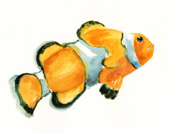 Popular items for clownfish on Etsy