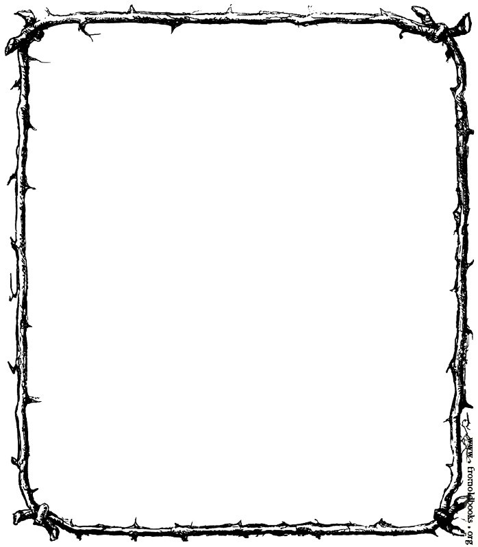 Rustic Border of Twigs