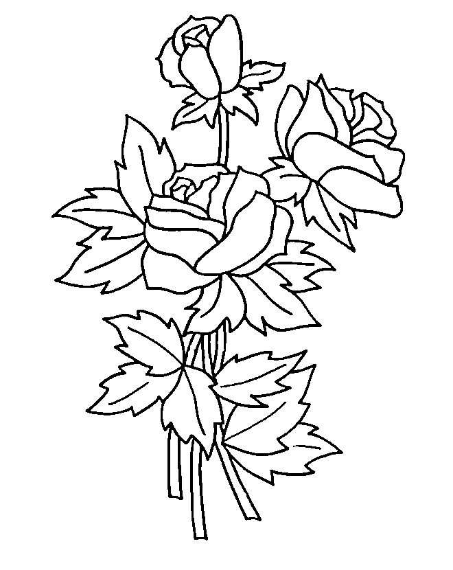 Coloring Pages of Roses | Coloring Pages To Print