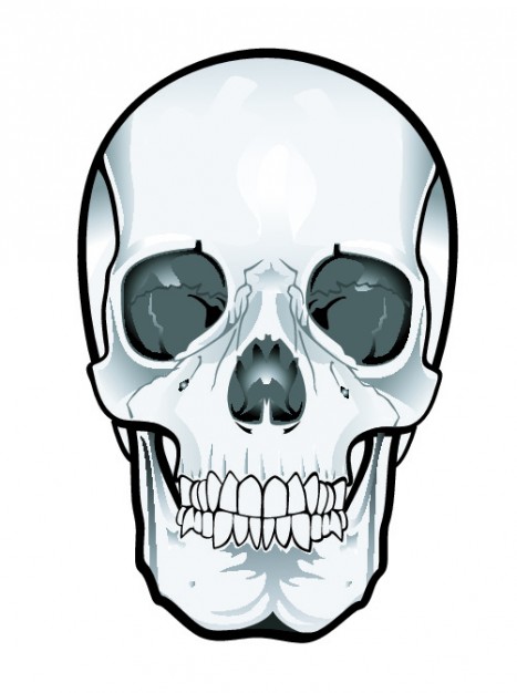 Frontal skull clipart Vector | Free Download