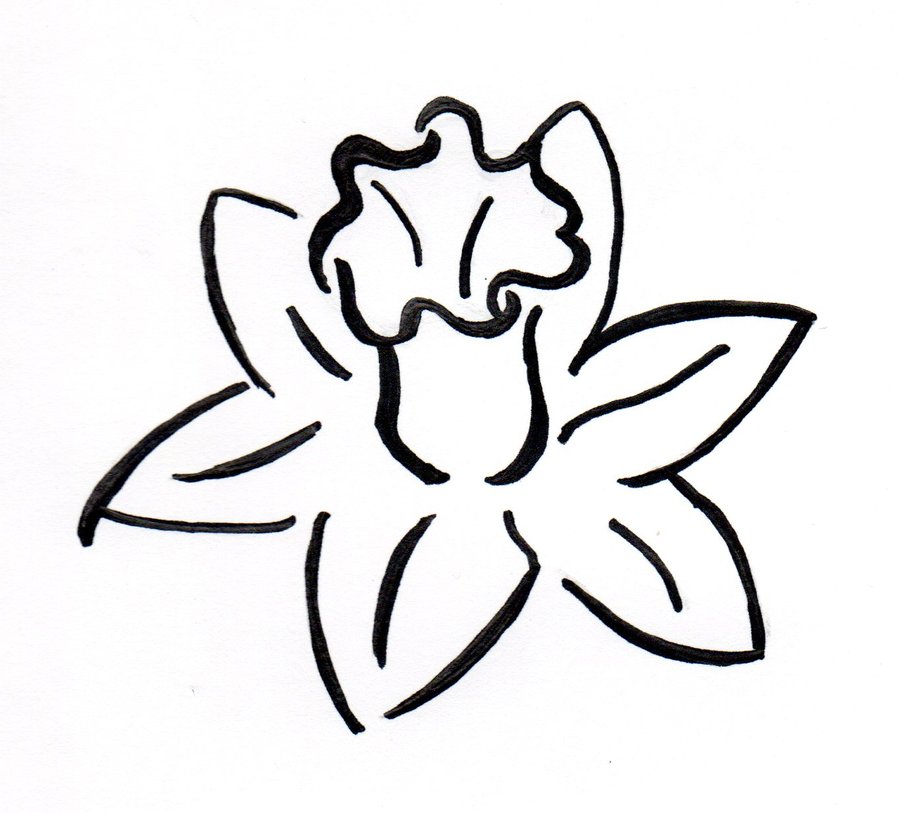 Daffodil Tattoo by Ksaurus on deviantART