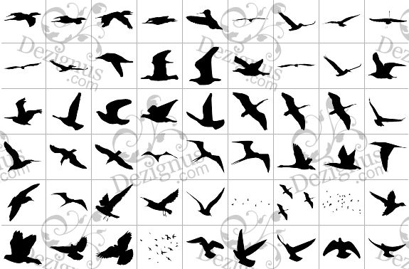 Bird Silhouette Tattoos on Pinterest | Tattoo Outline Drawing ...
