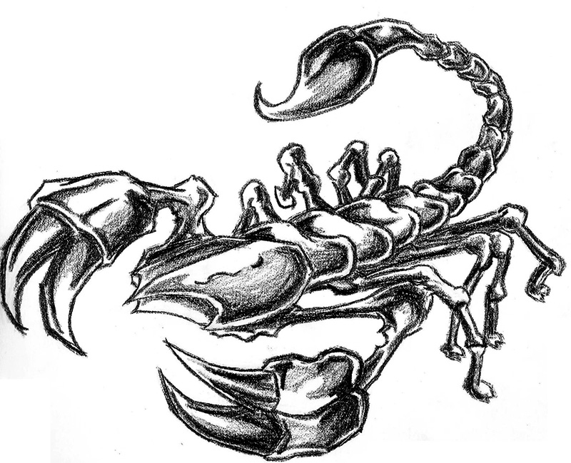 Scorpion by Nme666 on DeviantArt