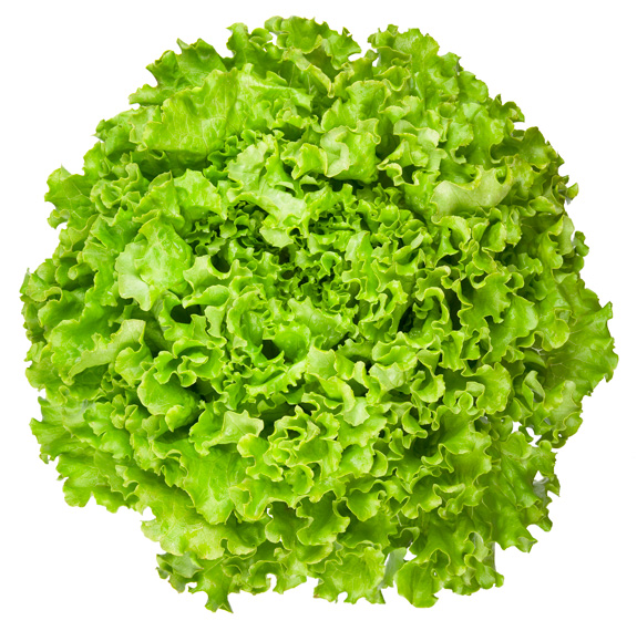 Green Leaf Lettuce || Gotham Greens || Premium quality locally ...