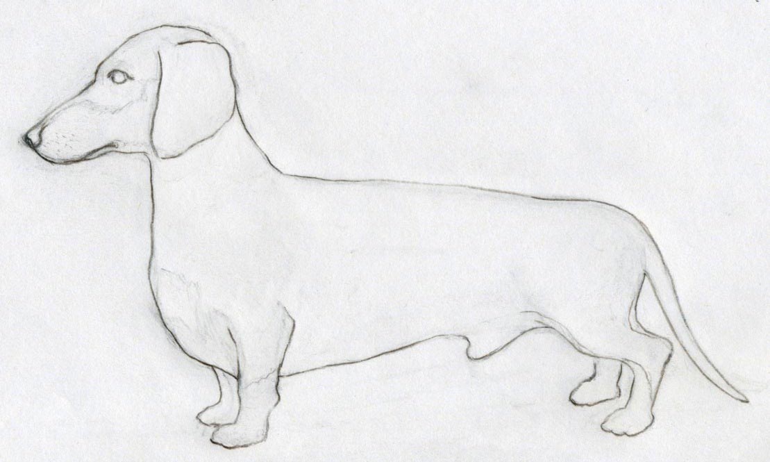 how-to-draw-dog06.jpg