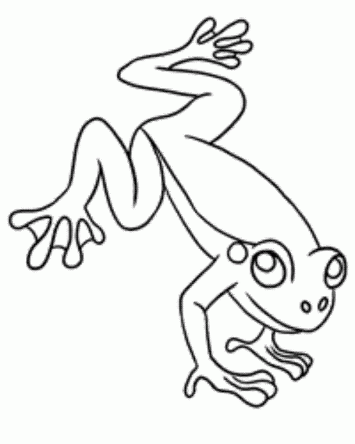 Tree Frog Coloring Pages - AZ Coloring Pages