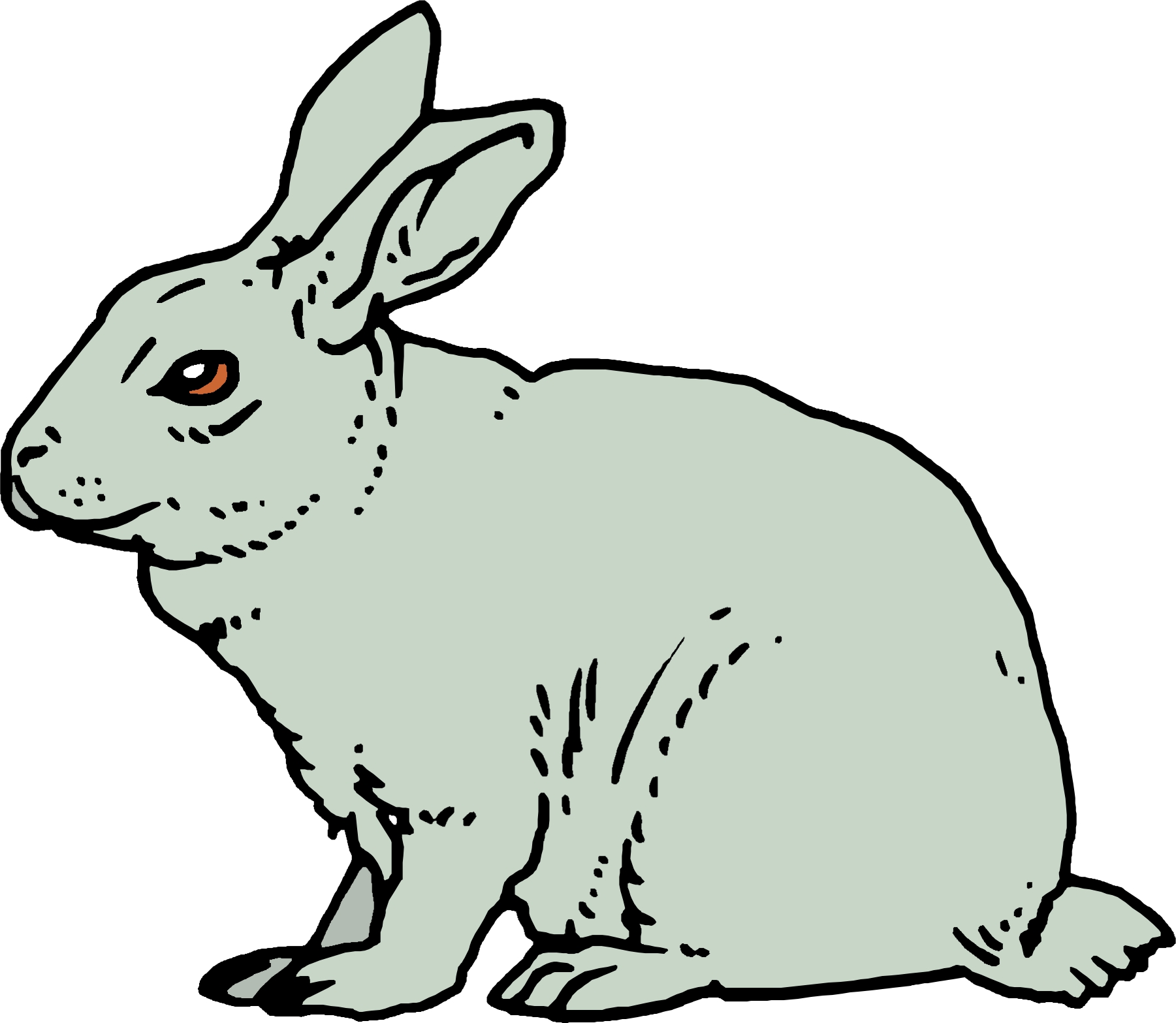 Cartoon Rabbit - Cliparts.co