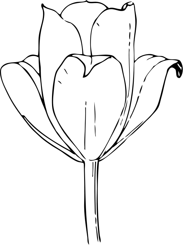 kamontgobbga: clip art flowers outline