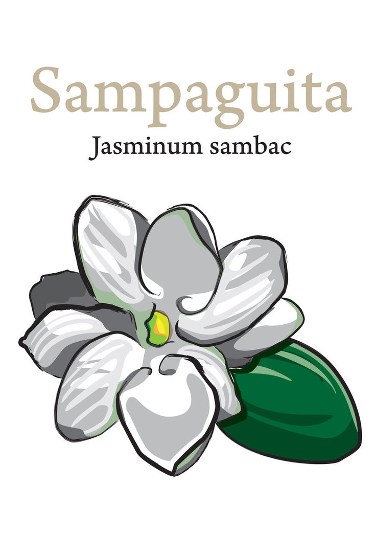 Sampaguita by joshwic on DeviantArt