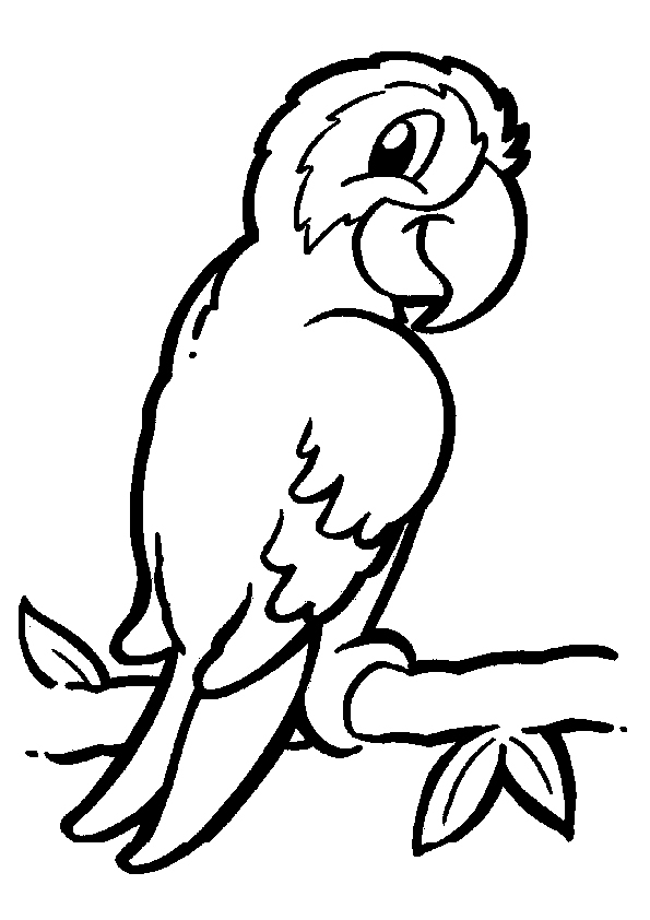 animals coloring pages to Print | coloring pages