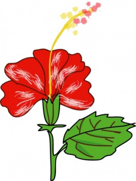 Flower Hibiscus clip art Vector | Free Download
