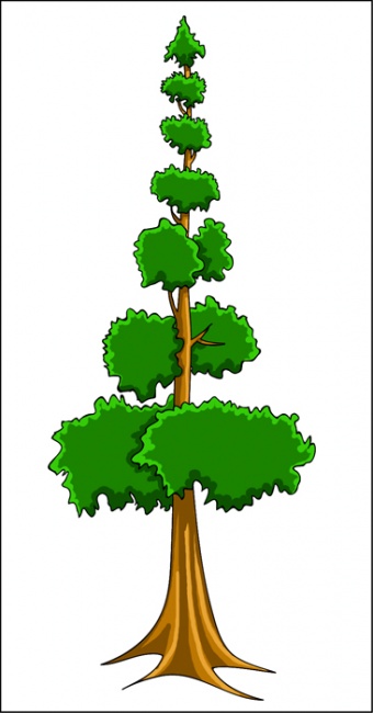 Cartoon Trees Images - ClipArt Best