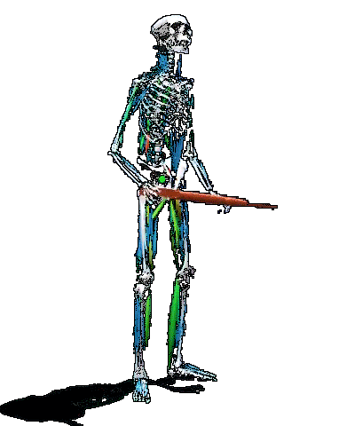 Transparent Animated GIF