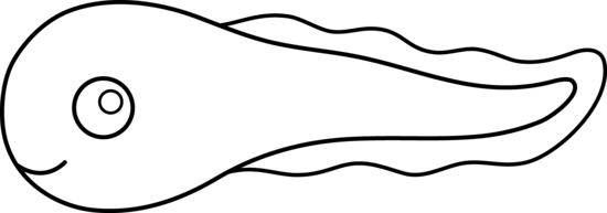 Cute Colorable Tadpole - Free Clip Art