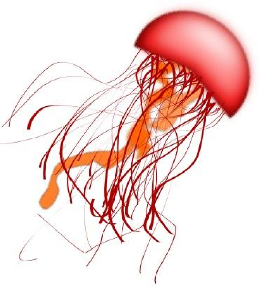 Red Jellyfish clip art - vector clip art online, royalty free ...