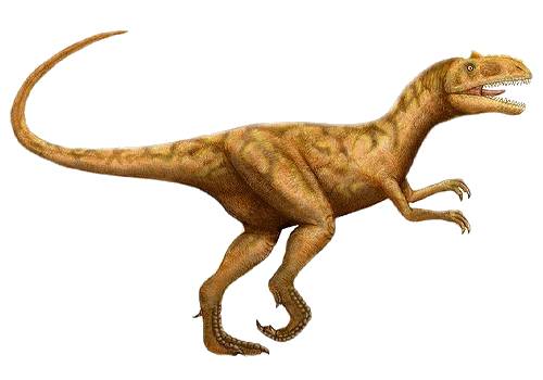 Pictures Of Dinasours - Cliparts.co