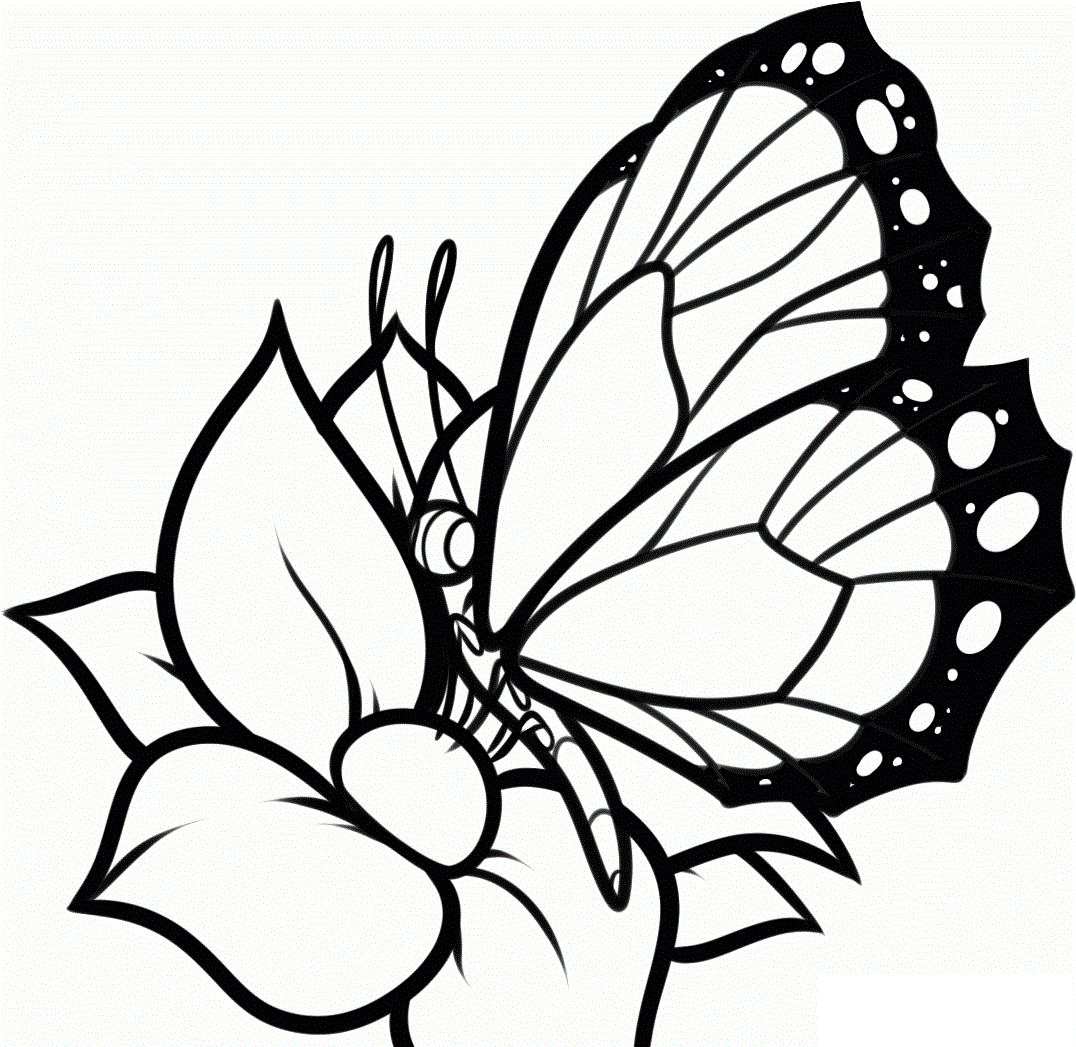 Butterfly with Flowers Coloring Pages | Coloring Pages Flowers and ...