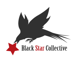 Black Star Collective Logo Design | Logo Design Gallery | LogoFury.com