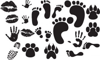 Hand print vector Free vector for free download about (53) Free ...