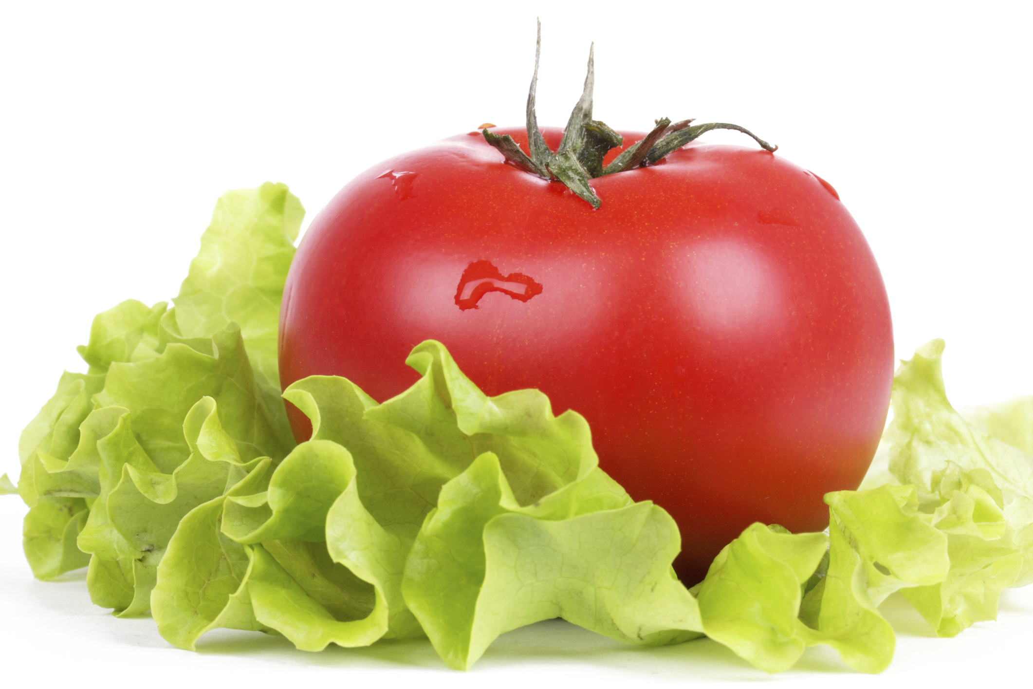 Lettuce | Reboot With Joe
