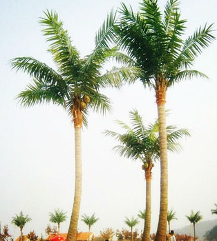 Artificial Huge Tree Decoration Artificial Coconut Palm Tree ...