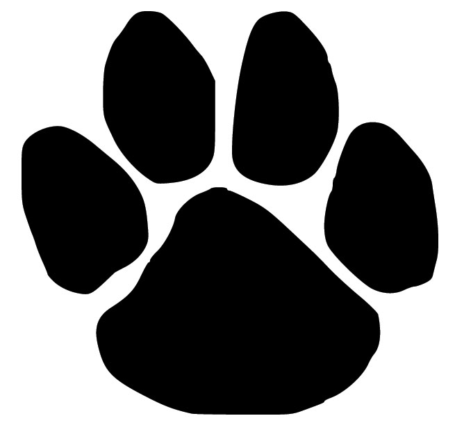 Dog Paw Print | Viralnova