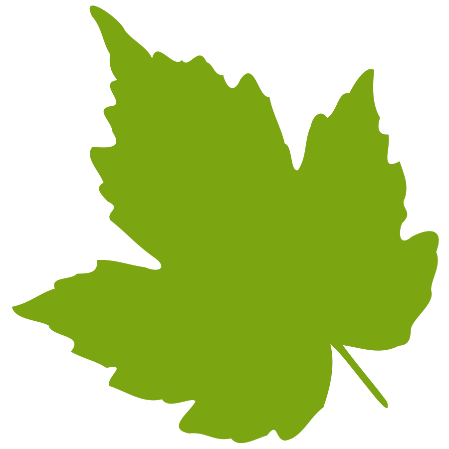 grape-leaf-clip-art-683719.png