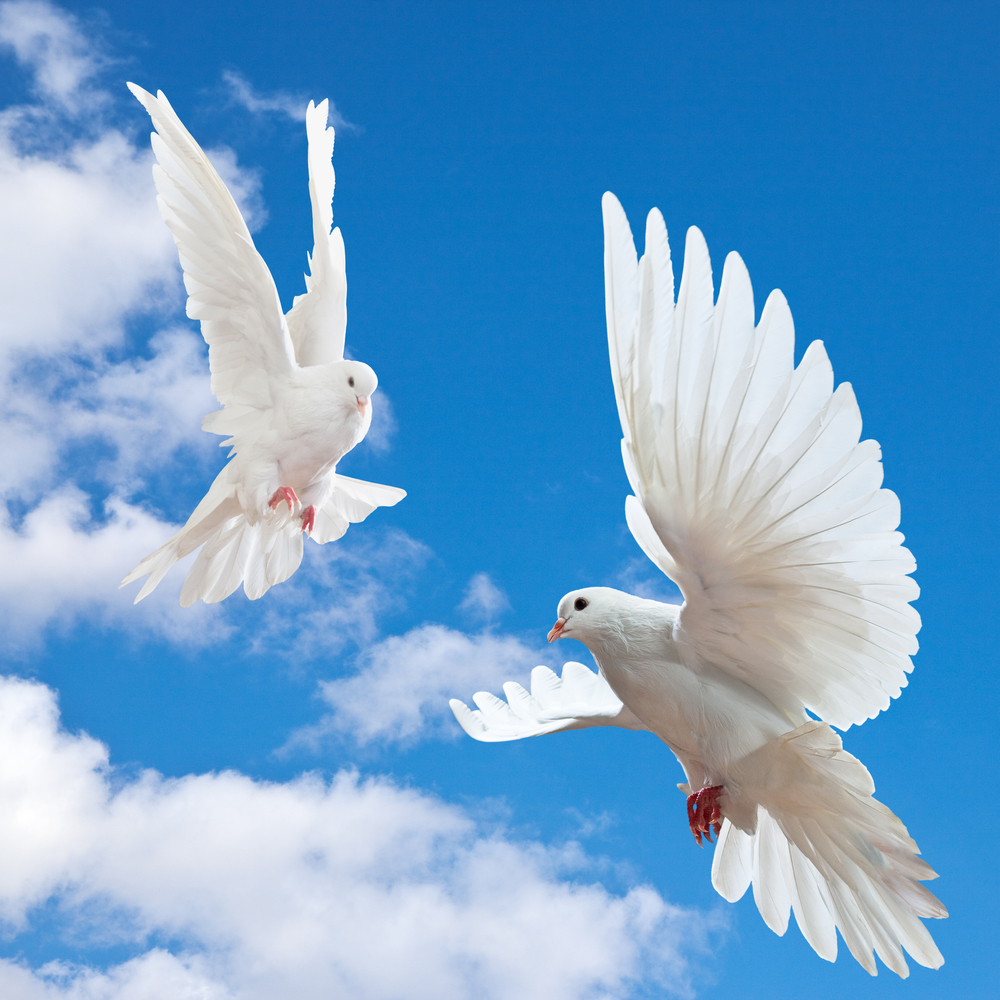 Are You Paying Attention to the Miracles Around You? | Self-Help Books