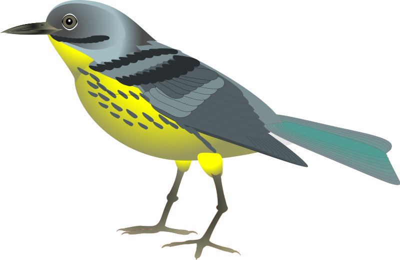 Cute Bird Tweeting Clipart