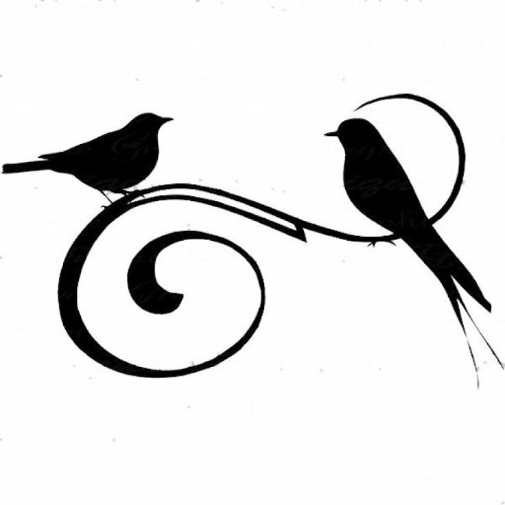 pretty little scroll flourish | Pájaros ilustración | Pinterest