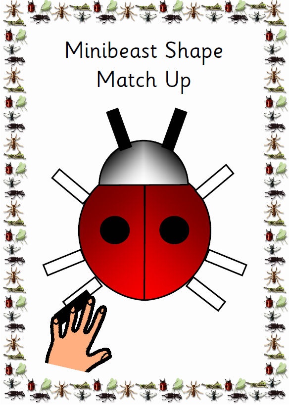 Pin by TES Special Ed on Minibeast resources for pupils with SEN | Pi…