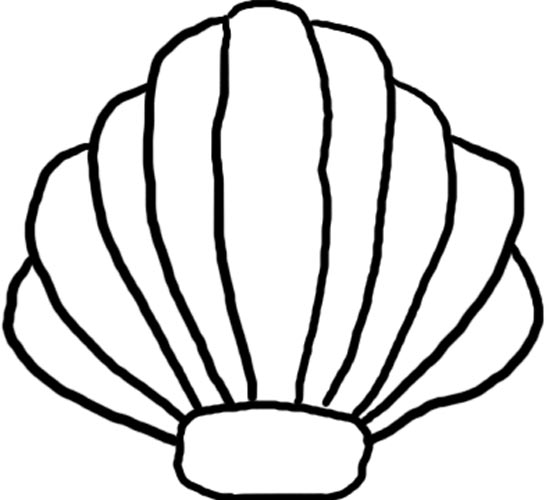 Clip Art Seashells Images & Pictures - Becuo