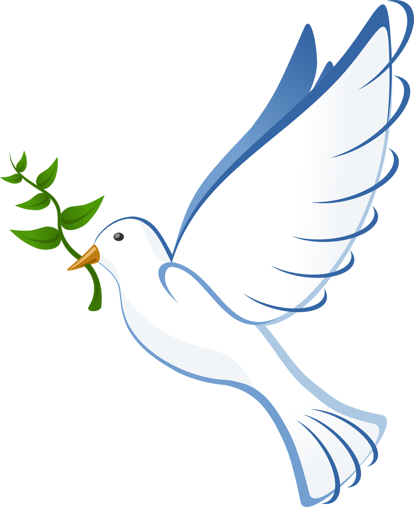 Cartoon bird – peace dove vector | Free PSD,Vector,Icons