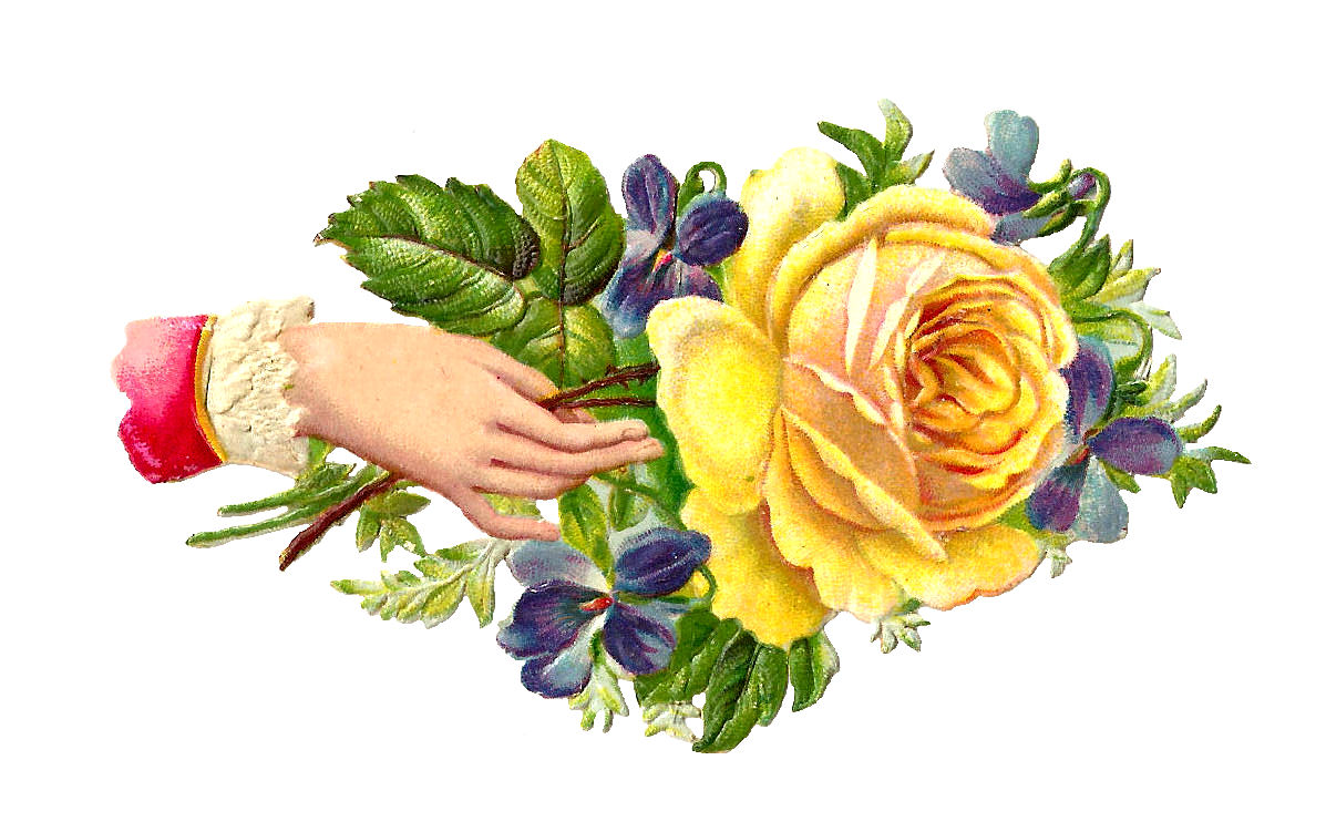 Antique Images: Free Flower Graphic: Yellow Rose Clip Art ...