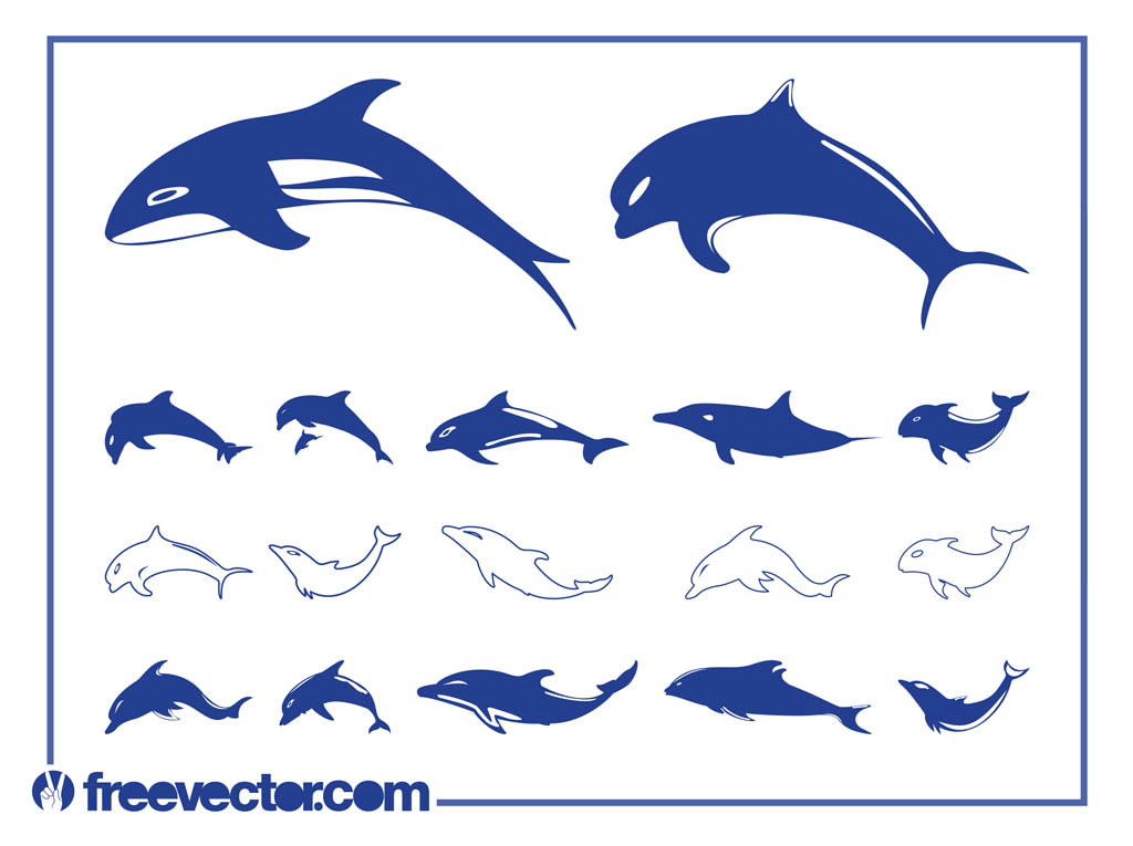 Free Dolphins Vectors