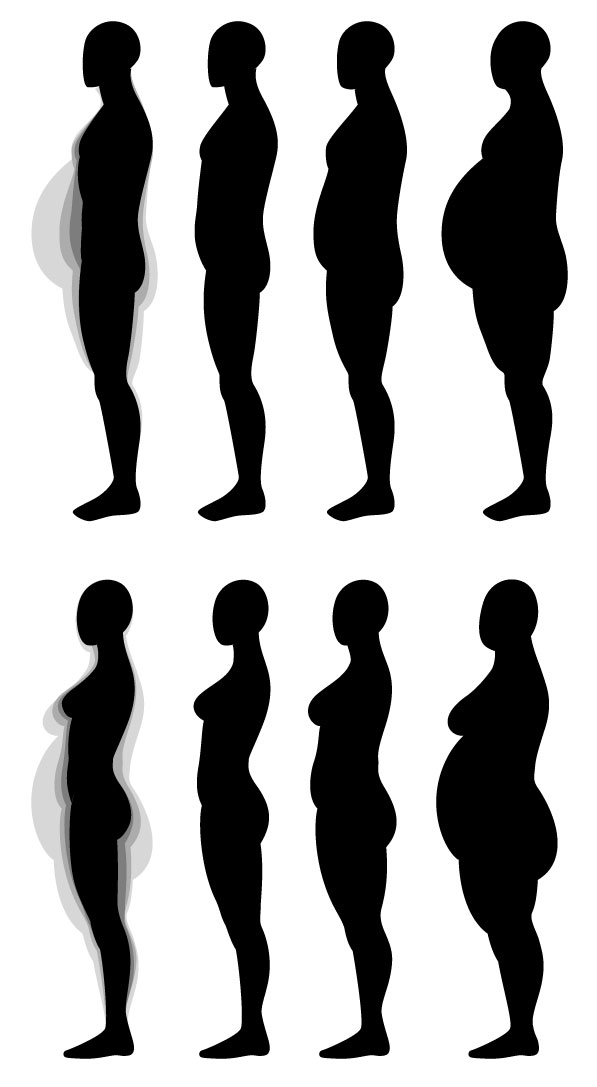 Human Anatomy Fundamentals: Muscles and Other Body Mass - Tuts+ ...