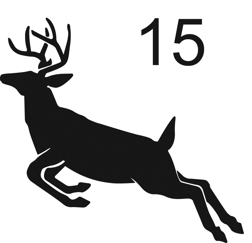 Caribou Female
