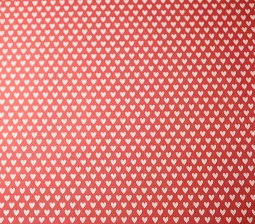 Save the date cupcakes » Harish Narayanan, Ph.D.