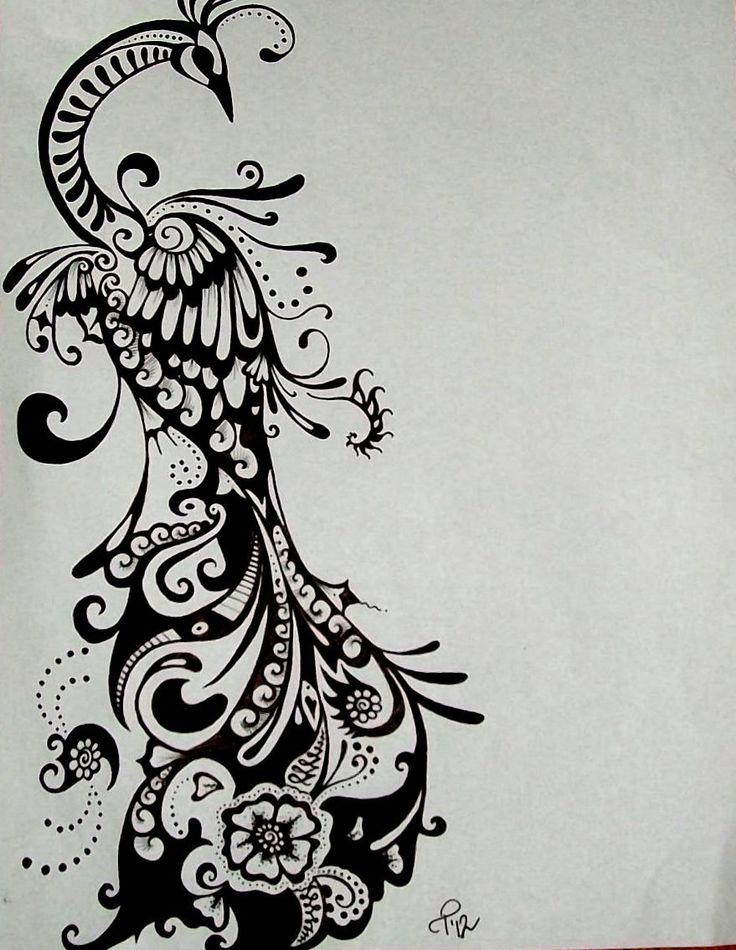 Peacock Drawing Ink Tattoo Design COMMISSIONED Tattoo in Black & White