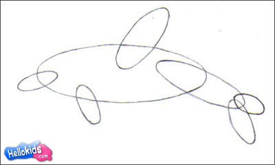 How to draw SEA ANIMALS - BOTTLENOSE DOLPHIN